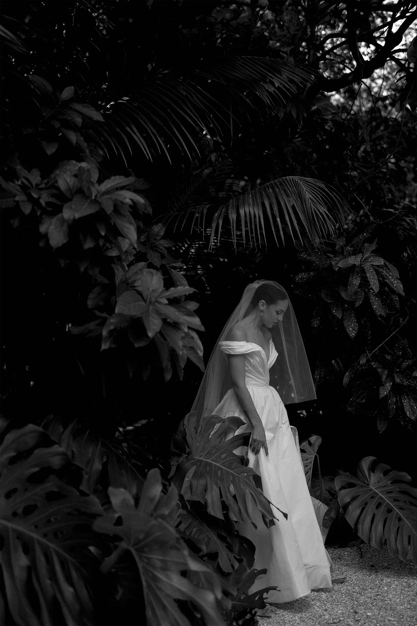 Bride in a veil looking down, surrounded by dark palms and monstera leaves