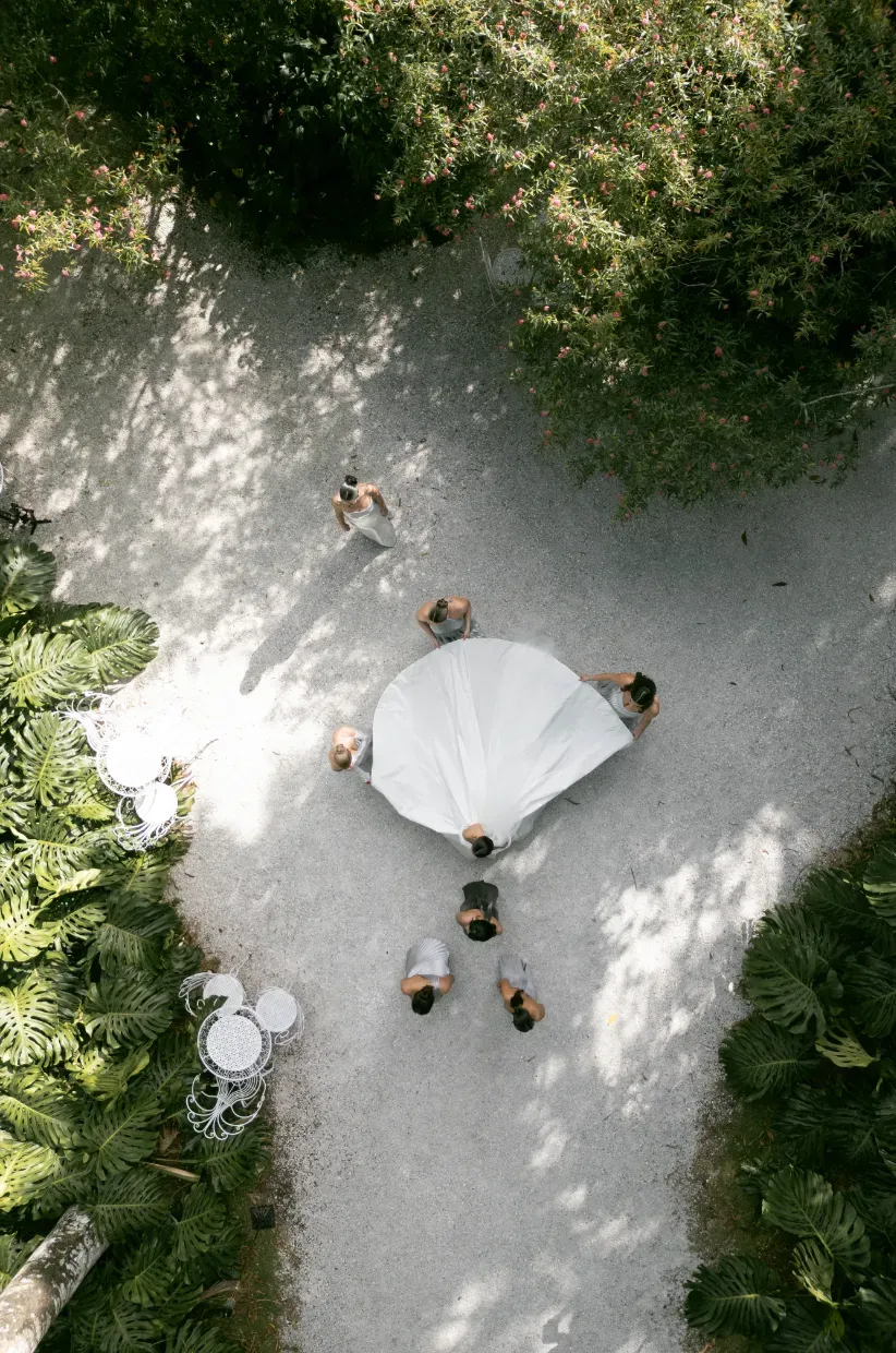 Overhead view of a bride circled by attendants on a garden path, gown spread out