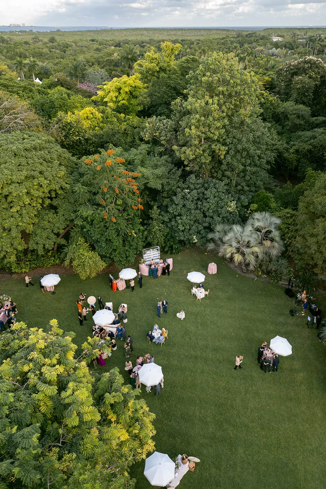 Aerial view of a garden cocktail hour with white umbrellas ringed by tropical trees