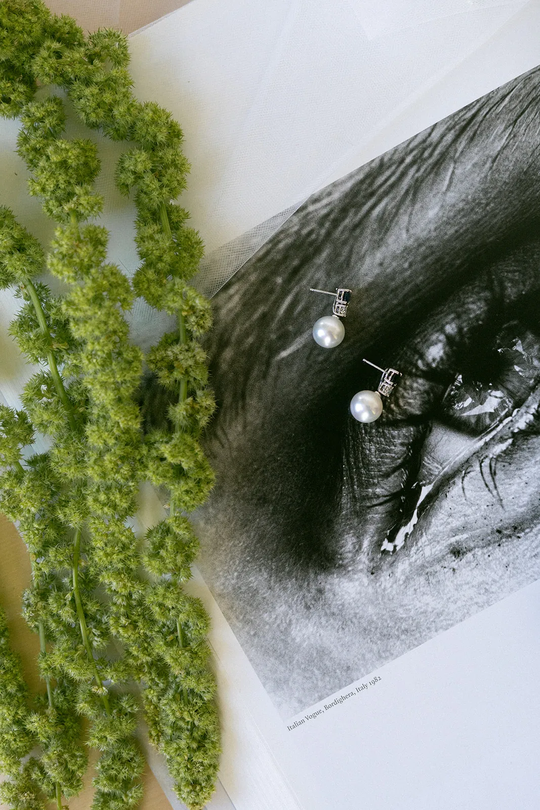 Pearl and diamond earrings on an open photography book beside green amaranth
